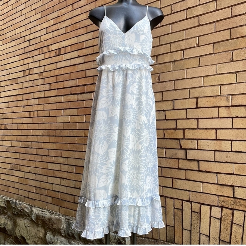 Madewell blue white Ruffle maxi Dress Size 4